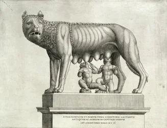 Tekening van het Etruskische brons van de wolvin die Romulus en Remus zoogt, 5e eeuw v.Chr., in het Capitoolmuseum, 1552